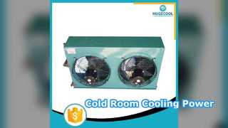 পিক পারফরম্যান্সের জন্য কোল্ড রুম এয়ার কুলড কনডেন্সার