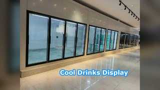 মদের দোকান কোল্ড রুম প্রদর্শন দরজা