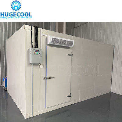 40-42KG/M3 Density Freezer Cold Room with Adjustable Shelves and Customizable Hinged Door