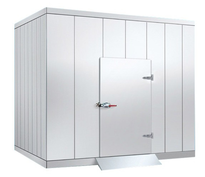 Maximize Your Storage Efficiency with Refrigerator Cold Storage and Hinged Door