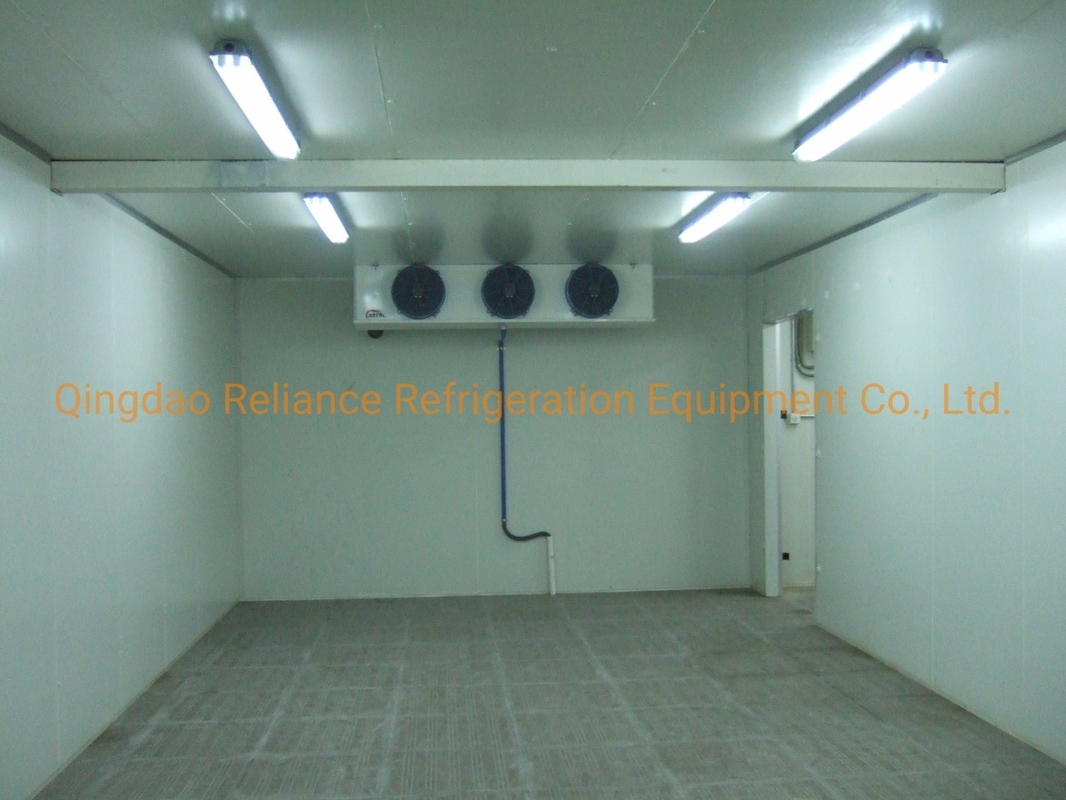 Solar Powered Cold Rooms with Customized Request Walk in Freezer Temperature Controls