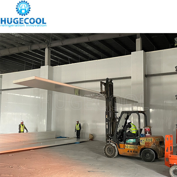 Solar Powered Cold Rooms with Customized Request Walk in Freezer Temperature Controls