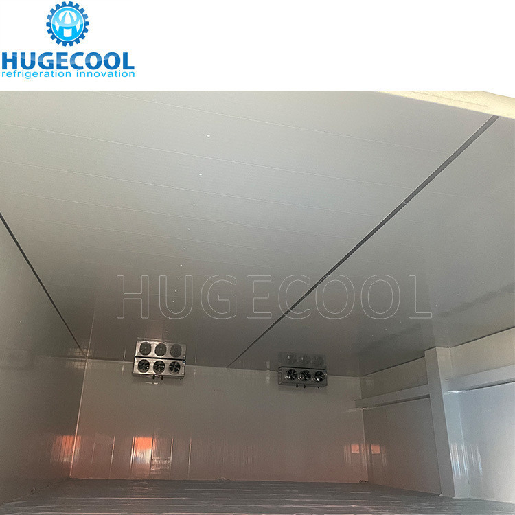 Solar Powered Cold Rooms with Customized Request Walk in Freezer Temperature Controls