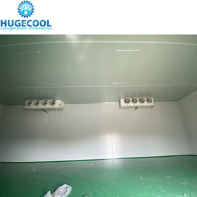 US Walk-in Coldroom for Refrigerant Model R449 Storage